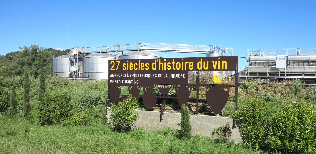 Vitrines Arômes des vins